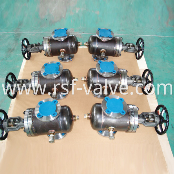 Api600 Jacket Gate Valve 1